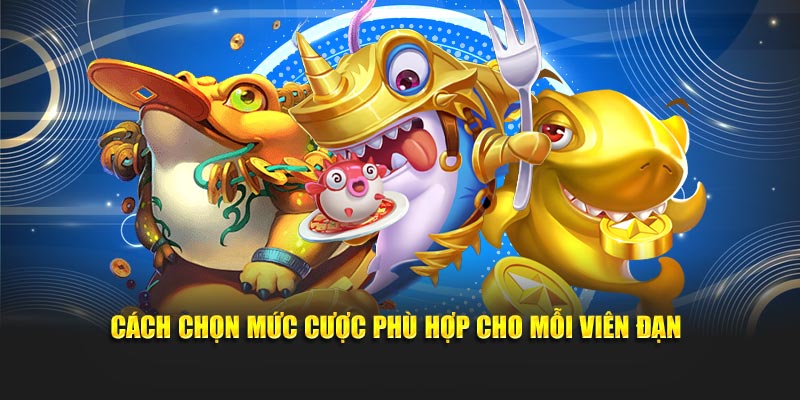  Cách chọn mức cược phù hợp cho mỗi viên đạn