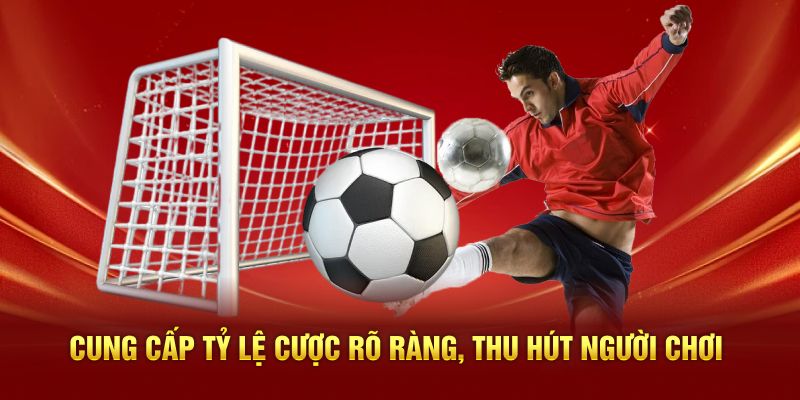 Cung cấp tỷ lệ cược rõ ràng, thu hút người chơi