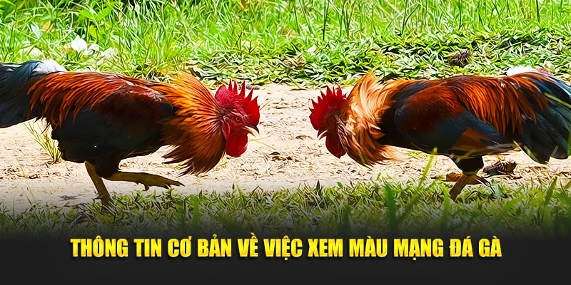 Thông tin cơ bản về việc xem màu mạng đá gà