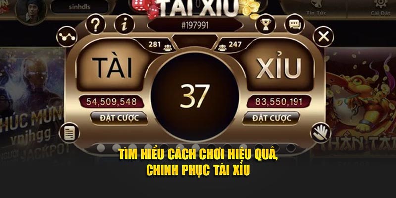 Tìm hiểu cách chơi hiệu quả, chinh phục tài xỉu